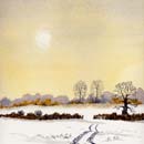 Winter Sun