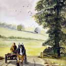 Homeward Bound